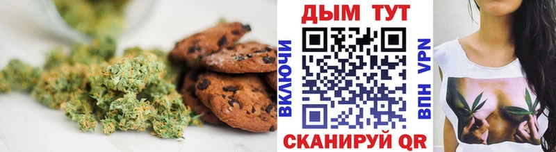 МЕГА онион Шагонар Canna-Cookies марихуана