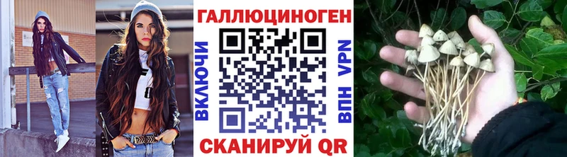 Псилоцибиновые грибы GOLDEN TEACHER  ссылка на мегу как зайти  Шагонар 