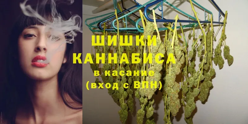 где продают   Шагонар  Конопля THC 21% 